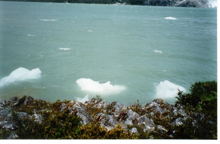 icebergs on lake