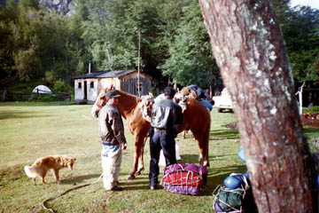 Loading horses